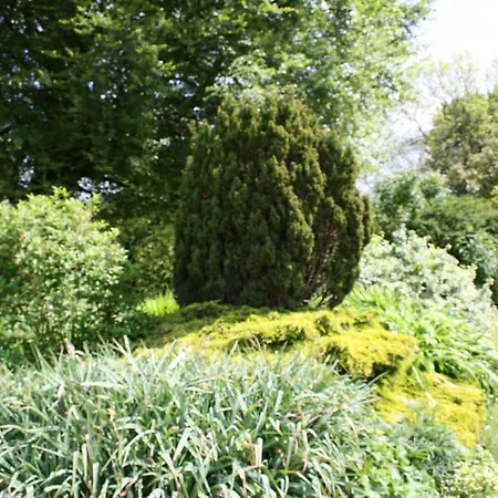 Bed & Breakfast Foxholm 4*