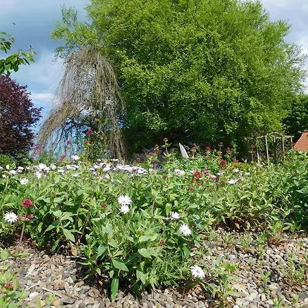 Bed & Breakfast Foxholm